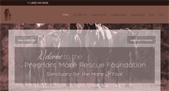 Desktop Screenshot of pregnantmarerescue.org